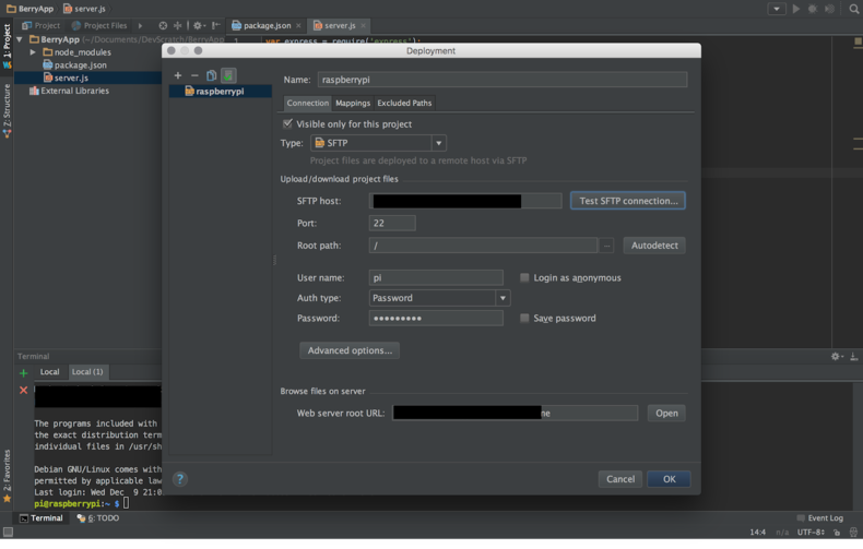 Illustration from Webstorm -> Raspberry (1)